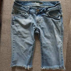 American Eagle Outfitters Denim Cutoff Shorts Raw Hem